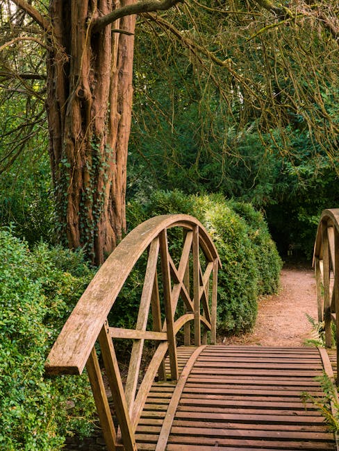 A lush woodland scene featuring tall deciduous trees with textured bark and light green leaves, casting dappled sunlight onto a dense carpet of bluebells covering the forest floor. The vibrant blue flowers are abundant among the bright green grass, creating a natural pathway through the wooded area. In the background, the trees continue to extend into the distance, with some darker shadows and more foliage. This scenic environment suggests a peaceful outdoor space, typically associated with natural landscapes or parks relevant to house removals or relocation settings, such as planning outdoor storage or garden setup during a home move. The scene is captured during daylight with soft natural light illuminating the landscape, with no human activity visible, emphasizing the tranquility of the forest. Man with Van Coombe may use such imagery to illustrate the natural surroundings involved in relocating or the types of environments their clients may be moving to or from in the Coombe area.
